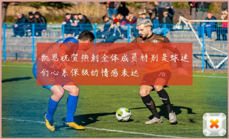 凯恩祝贺热刺全体成员特别是球迷们心系保级的情感表达